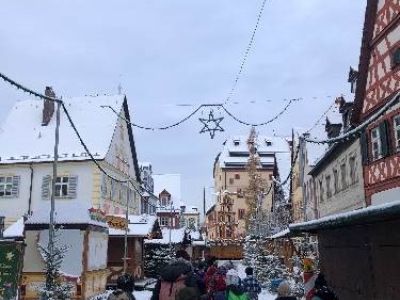 Schüler machen eine kleine Weihnachtsschneewanderung durch Forchheim 