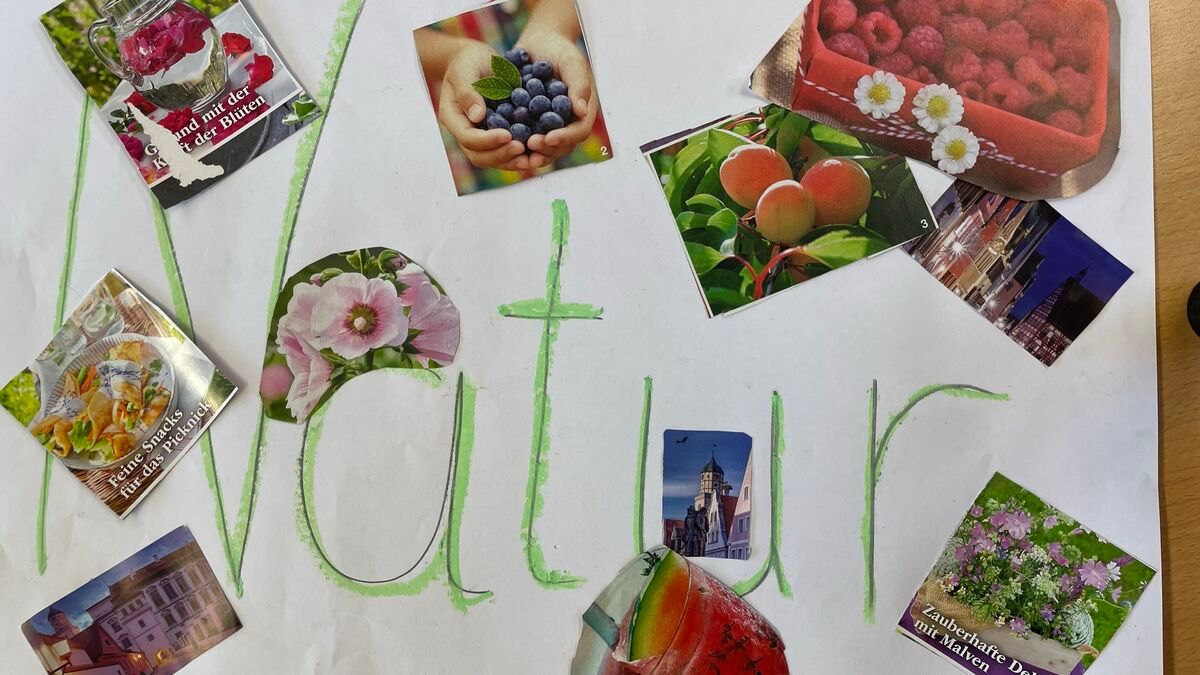 Selbst gebasteltes Poster zum Thema Natur ähnlich einer Collage